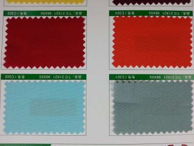 SD-DGYE   滌棉細珠帆  T/C  21*21   96*55 細節-9